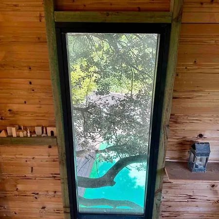 Casa Luminosa, Piscina Privada Y Del Arbol