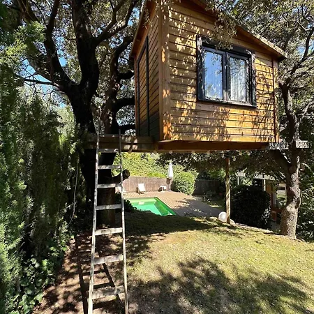 Casa Luminosa, Piscina Privada Y Del Arbol Σπίτι διακοπών *